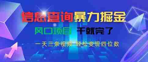 信息查询暴力掘金，一天三条视频，轻松变现四位数，风口项目干就完了【揭秘】