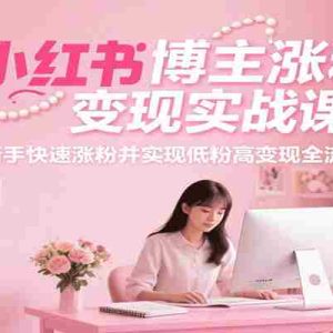 小红书博主涨粉变现实战课，新手快速涨粉并实现低粉高变现全流程