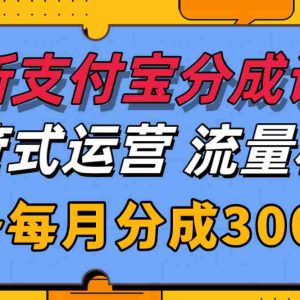全新支付宝分成代运营，独家技术，收益稳定，单号月入3000＋