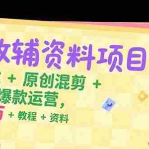 （15343期）AI教辅资料项目，AI生成+原创混剪+小红书爆款运营，新手月入2万+教程+资料