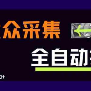 （15348期）大众采集全自动玩法，新手小白轻松一天500+，操作简单零成本