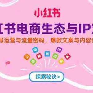 （15350期）小红书电商生态与IP定位，账号运营与流量密码，爆款文案与内容创作