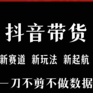 抖音短视频一刀不剪带货，不剪辑，不直播，每天发个视频，等着出单获取带货佣金