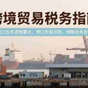 （15381期）跨境贸易税务指南，进口业务退税要点，转口贸易风险，特殊业务处理