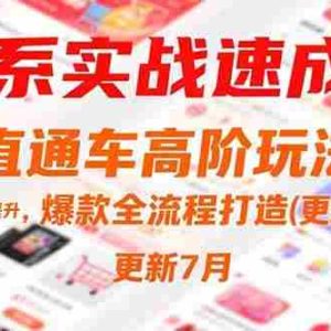 （15374期）淘系实战速成课，直通车高阶玩法，搜索流量提升，爆款全流程打造(更新7月)