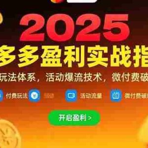 （15357期）拼多多盈利实战指南，强付费玩法，活动爆流技术，微付费破局方案(更新7月)
