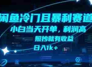 闲鱼冷门且暴利赛道，小白当天开单，利润高，照抄就有收益，日入1k+【揭秘】