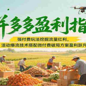 拼多多盈利指南：强付费玩法挖掘流量红利，活动爆流技术搭配微付费方案实现盈利跃升