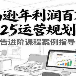 亚马逊年利润百万卖家2025运营规划布局，广告进阶课程案例指导分析