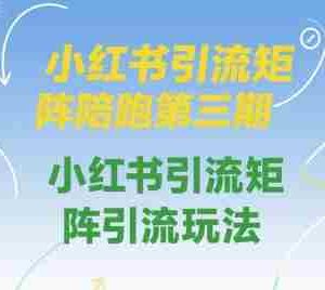 小红书引流矩阵陪跑第三期，小红书引流矩阵引流玩法