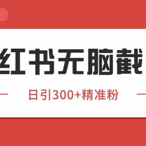 小红书截流同行客源，独家野路子获客玩法 日引200+暴力获客