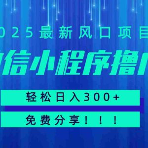 微信小程序撸广，最新风口项目，日入300+ 免费分享 可批量操作 小白可轻松上手！！