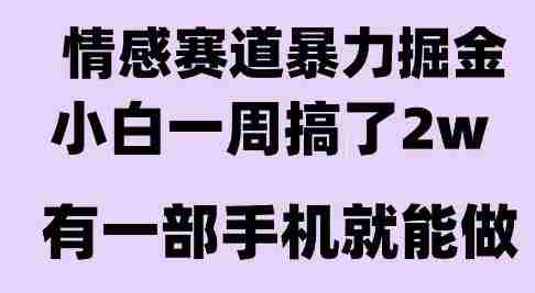 情感暴力掘金项目,新人操作一周挣了2W,长期稳定小白可做【揭秘】