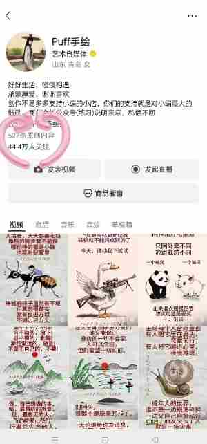 Puff手绘视频号分成项目,三天过分成计划,简单易上手,适合新手