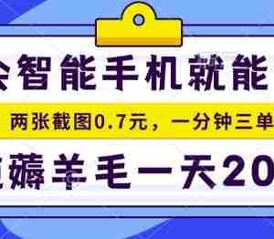 2025年零撸手机项目，二十秒一单，纯薅羊毛，一天200+做就有【揭秘】