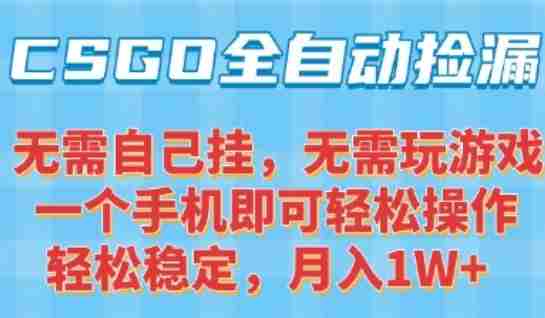 CSGO自动捡漏项目，最新独家玩法，一个手机可操作，新手小白轻松月入1W+，操作简单易上手【揭秘】