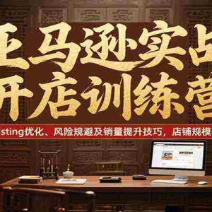 亚马逊实战开店训练营，掌握listing优化、风险规避及销量提升技巧，店铺规模化运营