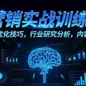 （15465期）AI营销实战训练课：Prompt优化技巧，行业研究分析，内容创作加速