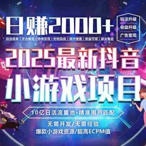 （15463期）抖音小游戏，日赚2000＋2025最火赛道