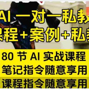 AI指令实战课，课程+案例，80节AI实战课程，笔记指令随意享用，课程指令随意享用（更新7月）