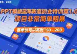 PPT模版蓝海赛道副业特训营1.0，项目非常简单粗暴，客单价可以高到150-200