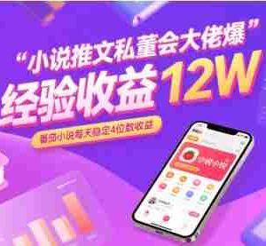 小说推文私董会大佬爆单经验分享收益12W，番茄小说每天稳定4位数收益