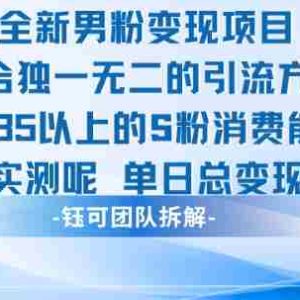 全新男粉变现项目引流人群35以上的男粉消费能力大 经过实测单日变现1k+