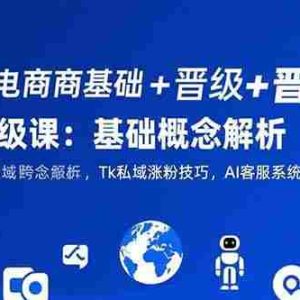 （15496期）跨境电商基础+晋级+高级课：基础概念解析,Tk私域涨粉技巧,AI客服系统搭建