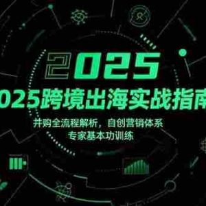（15503期）2025跨境出海实战指南，并购全流程解析，自创营销体系，专家基本功训练