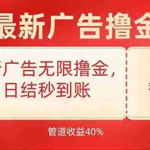 （15519期）最新广告无限撸金，日结秒到，管道40%