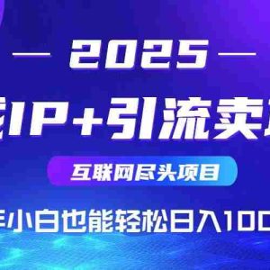 （15531期）2025网创尽头项目，私域IP+引流，新手小白也能在家日入1000+