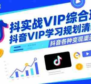 抖音实战VIP综合班，抖音VIP学习规划请晰抖音各种变现渠道