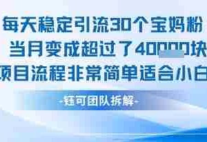 每天稳定引流30个人 当月变成超过了4个W项目流程非常简单适合小白
