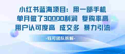 小红书蓝海项目,一部手机单月做了3W利润,小白也能月入过1W用户认可度高成交多