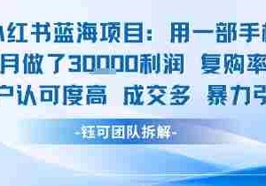 小红书蓝海项目，一部手机单月做了3W利润，小白也能月入过1W用户认可度高成交多