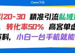 日引 20-30 精准引流私域新玩法，转化率50% 高客单虚拟资料，小白一台手机就能做