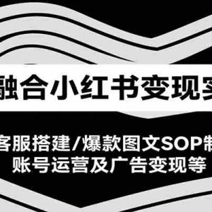 AI融合小红书变现实战课，AI客服搭建/爆款图文SOP制作/账号运营及广告变现等