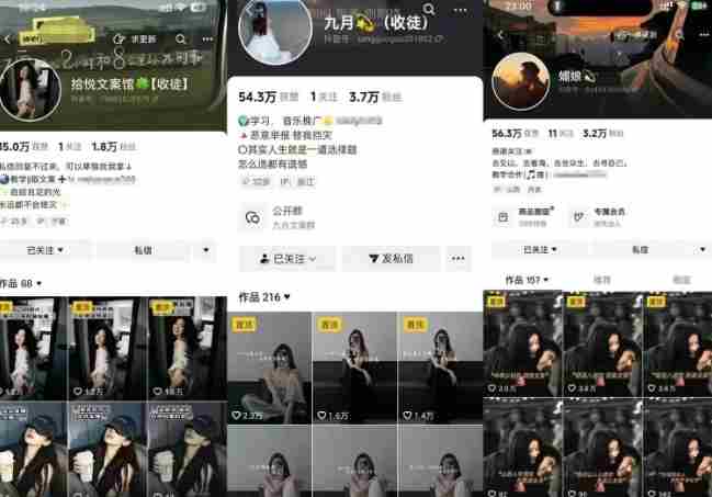 抖音图文文案赛道新玩法,快速养号起号,广告收益分成+橱窗带货+教学收徒等