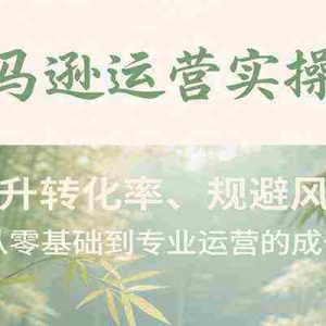 亚马逊运营实操班，提升转化率、规避风险，打造从零基础到专业运营的成长路径