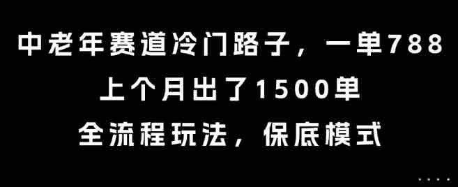 中老年赛道冷门路子，一单788，上个月出了1500单，全流程玩法，保底模式【揭秘】