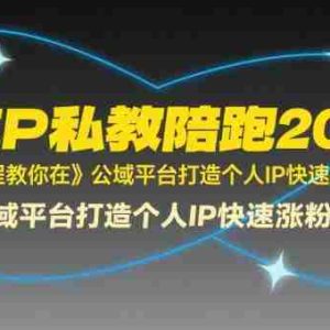 全域IP私教陪跑2025年，这套课程教你在​公域平台打造个人IP快速涨粉变现