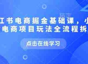 小红书电商掘金课，小红书电商项目玩法全流程拆解（更新7月）