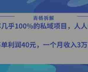 转化率最高的私域项目，每单利润40-50米，月入过1w