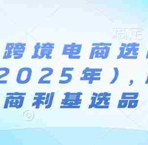 亚马逊跨境电商选品案例(更新2025年7月)，跨境电商利基选品