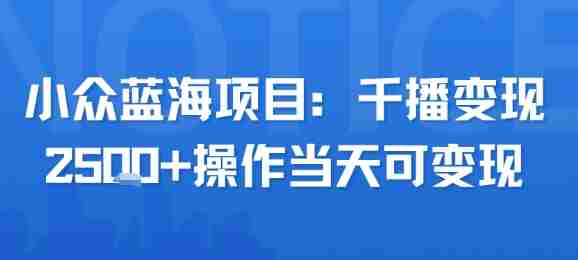 小众蓝海项目,千播变现2.5k+操作当天可变现