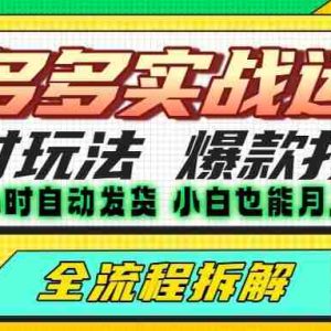 拼多多最新实战运营高投产：长久稳定项目，单店利润一天三位数
