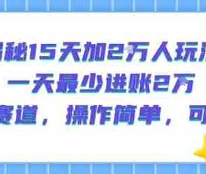 揭秘15天加2W人玩法，一天最少2万进账，蓝海赛道，操作简单，可矩阵