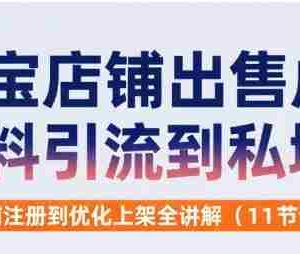 淘宝店铺出售虚拟资料引流到私域，从店铺注册到优化上架全讲解(11节课)
