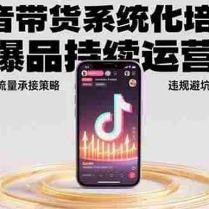 （15568期）抖音带货系统化培训：连爆品持续运营法，直播流量承接策略，违规避坑全集