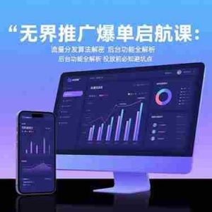 （15567期）无界推广爆单启航课：流量分发算法解密 后台功能全解析 投放前必知避坑点